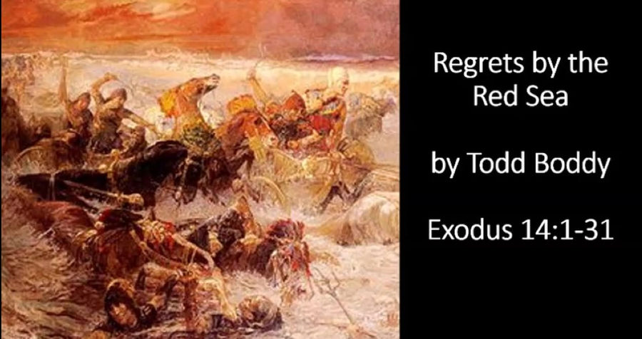 Regrets by the Red Sea